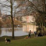 Ixelles : Un Quartier Cosmopolite et Vibrant au Cœur de Bruxelles