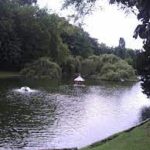 Découvrez le Charme du Quartier 1050 à Bruxelles