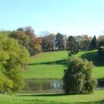 Découvrez les Parcs à Bruxelles : Des Oasis de Nature en Pleine Ville
