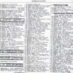 Trouver Rapidement des Contacts avec l’Annuaire Téléphonique Belgique