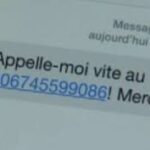 Recherche par Numéro de Téléphone en Belgique: Trouver des Informations Précieuses