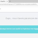 Trouver rapidement avec Les Pages Blanches Annuaire Inversé