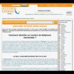 Découvrez l&rsquo;Utilité du Numéro Inverse Page Jaune
